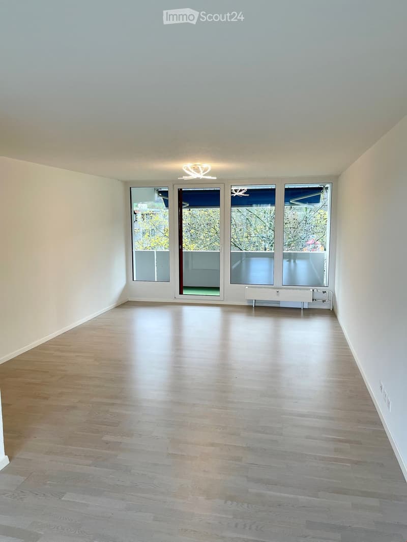 Empty room with light wooden flooring, white walls, large windows, and a ceiling light fixture.