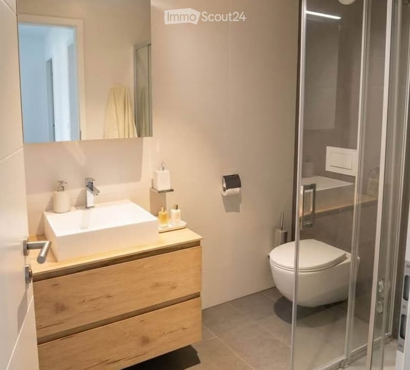 Modern bathroom with a white sink, wooden cabinet, mirror, toilet, and glass shower enclosure.