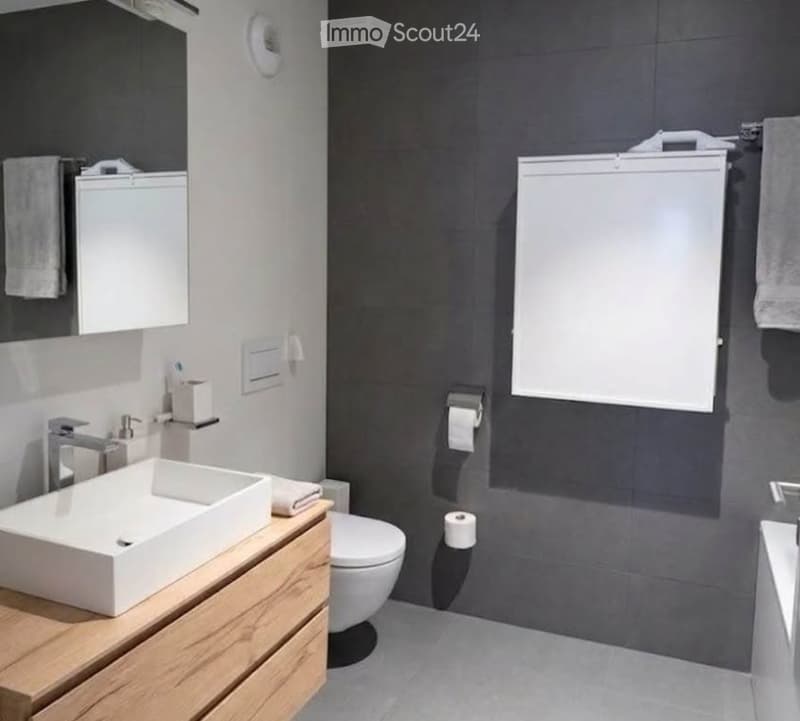 Modern bathroom with a white sink on a wooden cabinet, a toilet, a large mirror, and towels hanging on the wall.