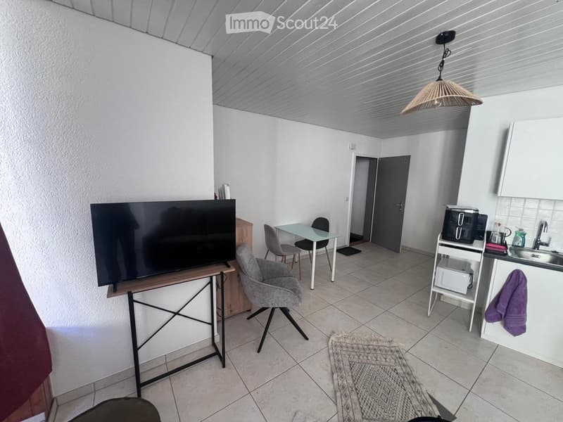 A modern, furnished room with a TV, a chair, a small table, a kitchen area with a sink, and a refrigerator.