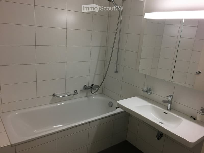 Modern bathroom with a bathtub, sink, and shower hose. Features tiled walls and a large mirror with built-in lighting.