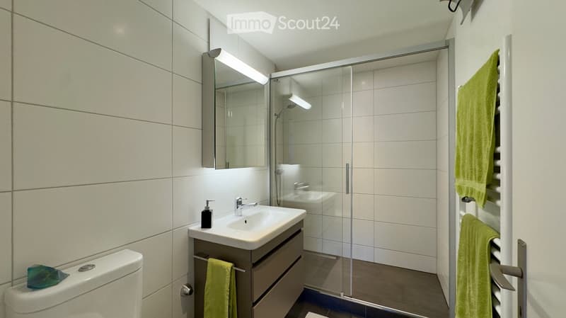 Modern bathroom with a white sink, mirror, toilet, and a glass-enclosed shower. Green towels are neatly placed on a heated towel rack.