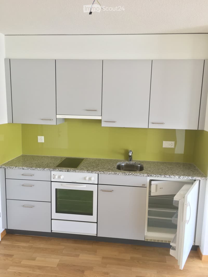 Modern kitchen with white cabinets, granite countertop, sink, oven, and refrigerator. Green accent wall and wooden flooring.