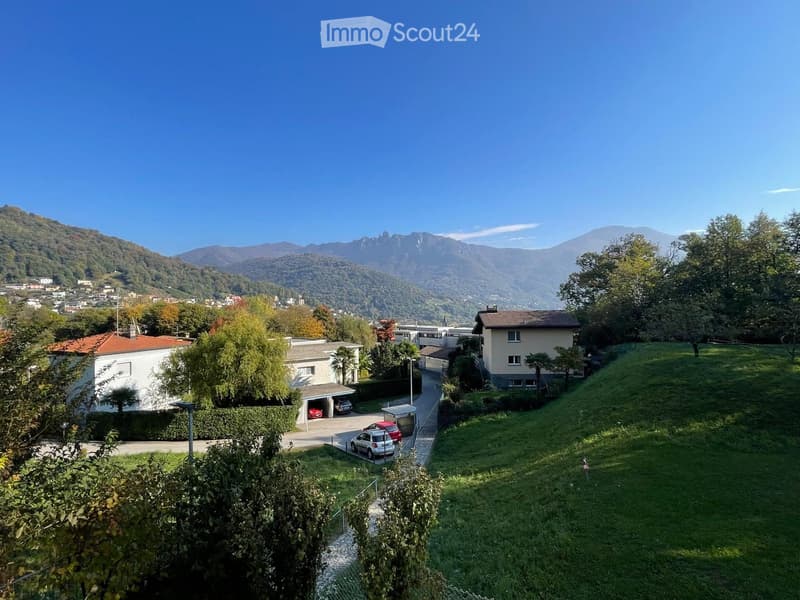 A residential area with multiple houses, a driveway with parked cars, and a scenic mountain backdrop.