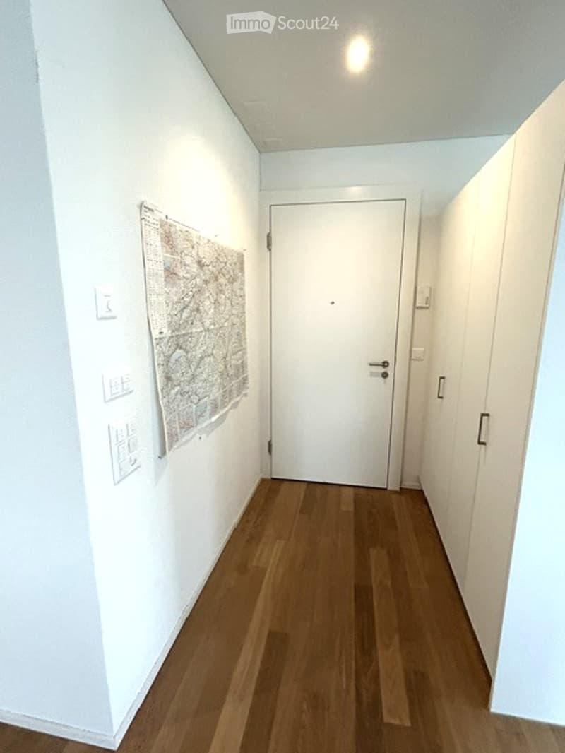A narrow hallway with light wooden flooring, white walls, and a closed white door at the end. A framed map or artwork is mounted on the left wall, and a white cabinet is on the right.