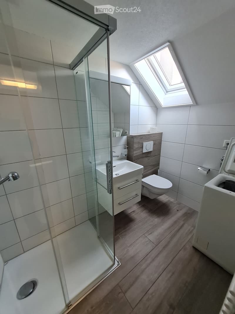 Modern bathroom with a glass-enclosed shower, a white sink, a toilet, and a skylight window providing natural light.