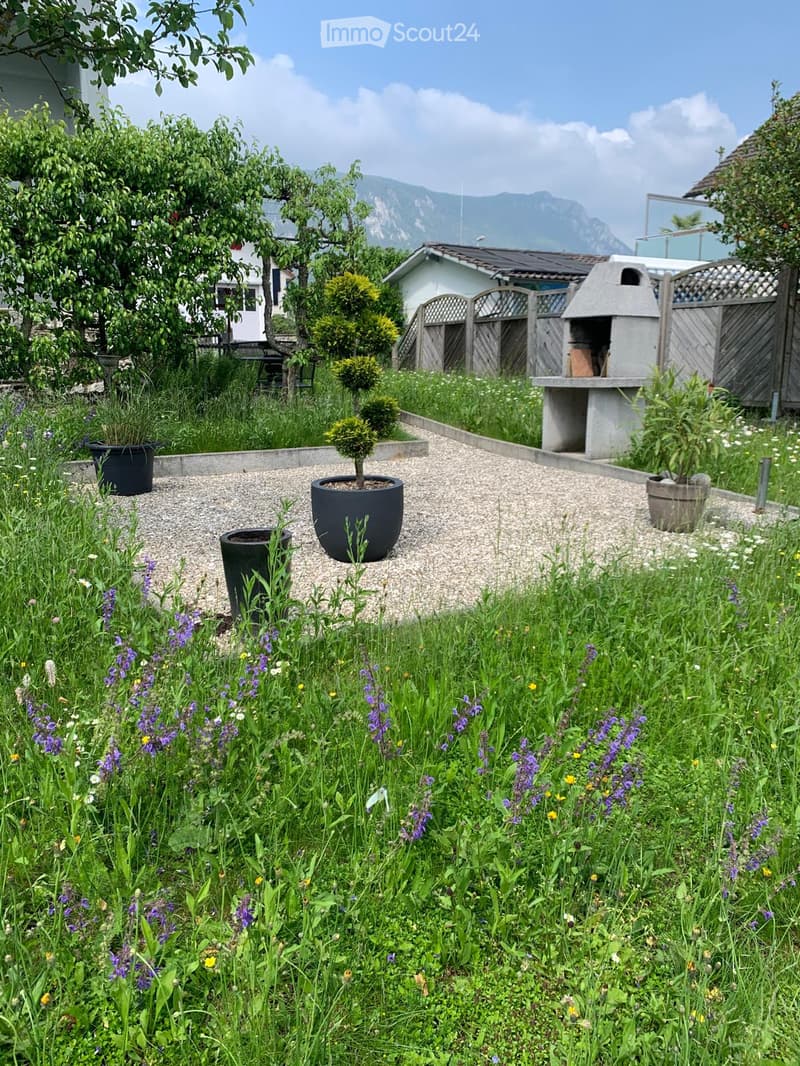 Garden with gravel pathway, potted plants, lush greenery, and a stone barbecue. Background features a wooden fence, trees, and distant mountains.
