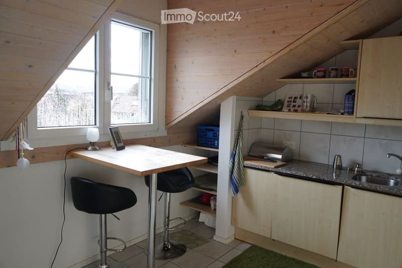 {"visible_features": [], "type": "Furnished Room", "objects": ["table", "stool", "stool", "cupboard", "sink", "faucet", "oven", "cup", "cup", "cup", "cup", "cup", "cup", "cup", "cup", "cup", "cup", "cup", "cup", "cup", "cup", "cup", "cup", "cup", "cup", "