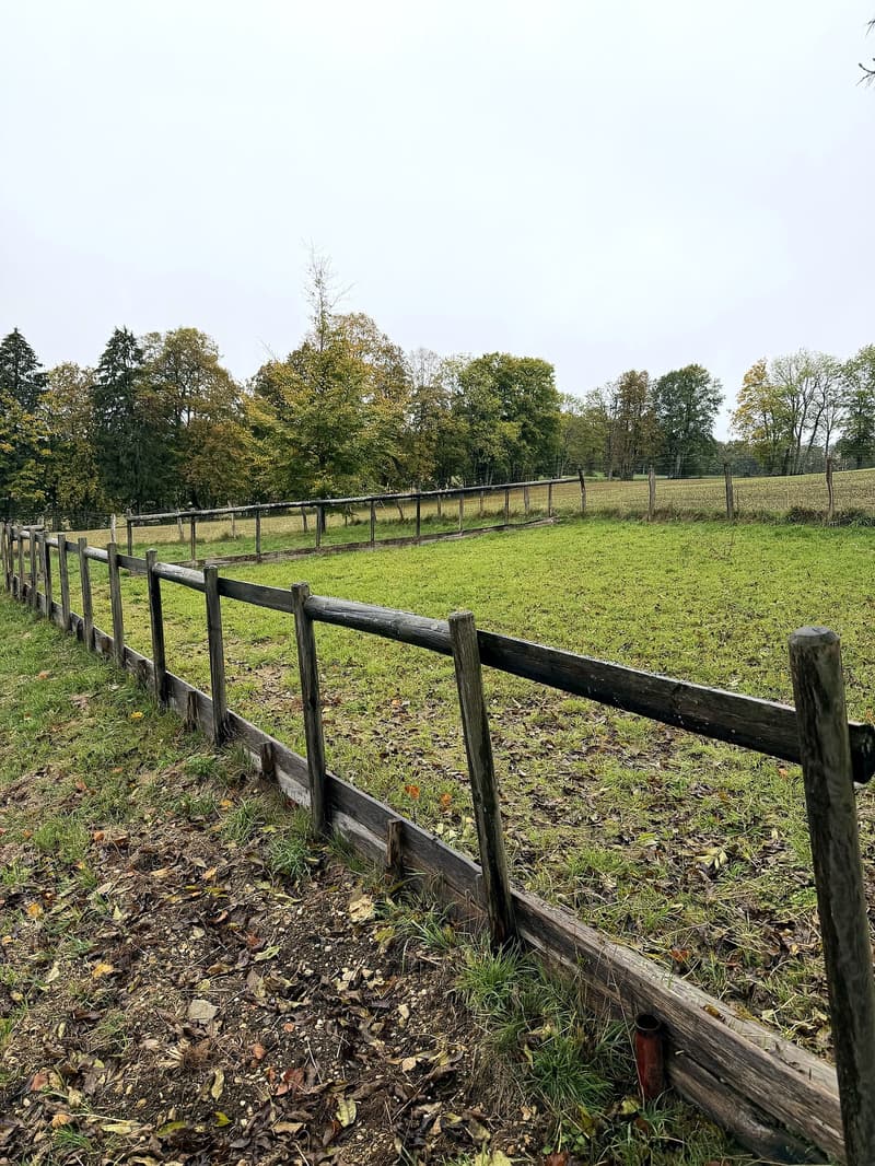 A wooden fence encloses a grassy field with trees in the background, surrounded by a mix of grass and fallen leaves.