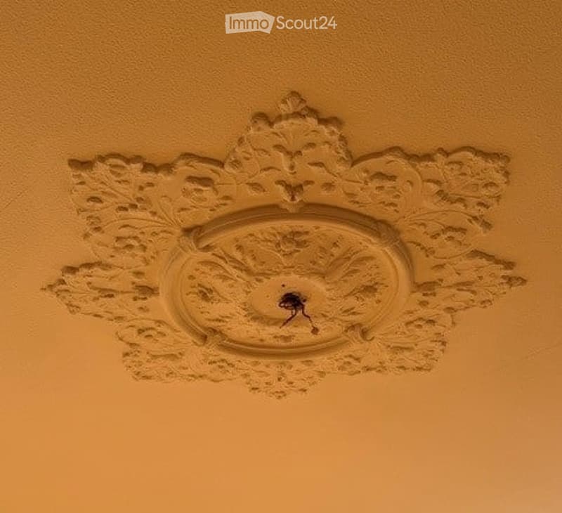 A decorative ceiling light fixture with an ornate design is mounted on a light yellow ceiling.