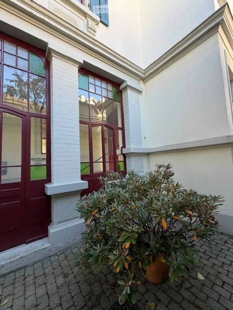 A small garden area in front of a building entrance, featuring a potted plant with green and brown leaves on a cobblestone path.