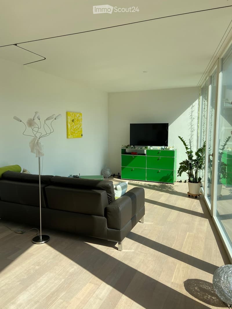 Modern living room with light wooden flooring, a black leather sofa, a floor lamp, a television on a green cabinet, and a potted plant near the large windows.