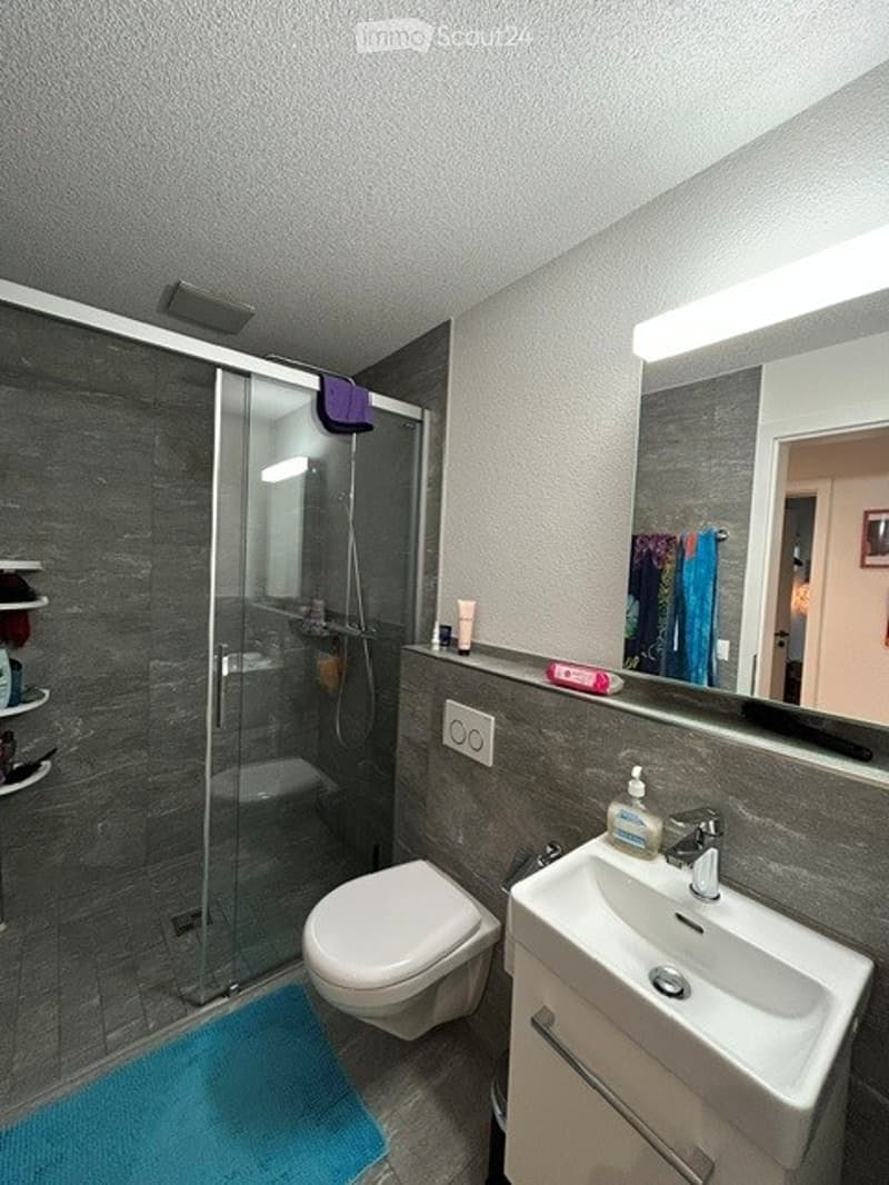 Modern bathroom with a glass-enclosed shower, toilet, sink, and mirror. Features include a blue bath mat, shelves with toiletries, and a sleek faucet.