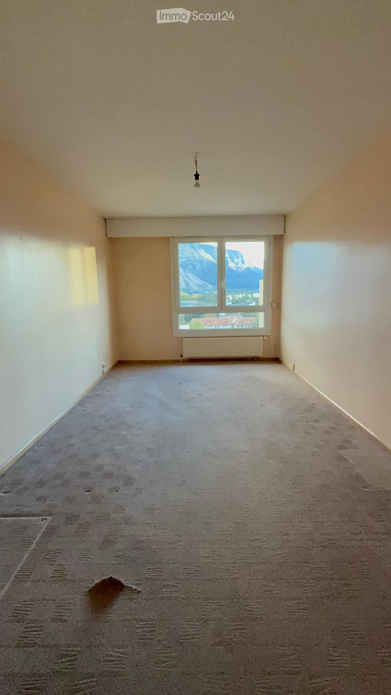 Empty room with beige walls, carpeted floor, large window with mountain view, radiator, and ceiling light fixture.