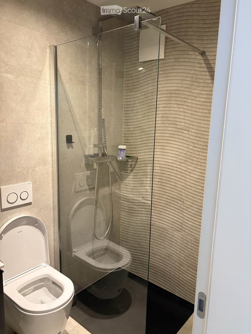 Moderne und grosszügige 5.5-Zimmer-Wohnung mit schöner Terrasse (16)