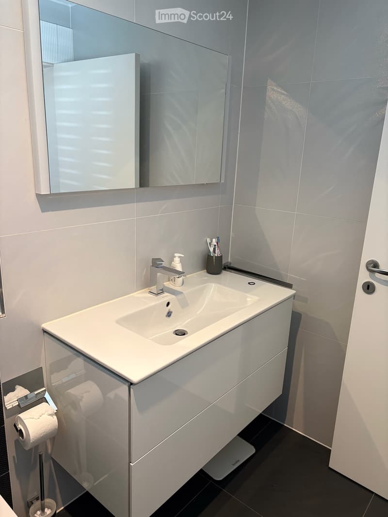 Moderne und grosszügige 5.5-Zimmer-Wohnung mit schöner Terrasse (13)
