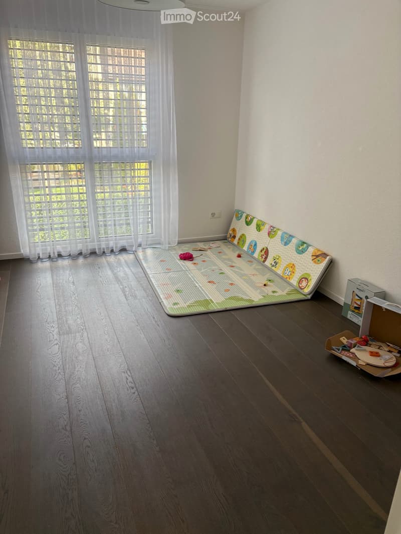 Moderne und grosszügige 5.5-Zimmer-Wohnung mit schöner Terrasse (6)