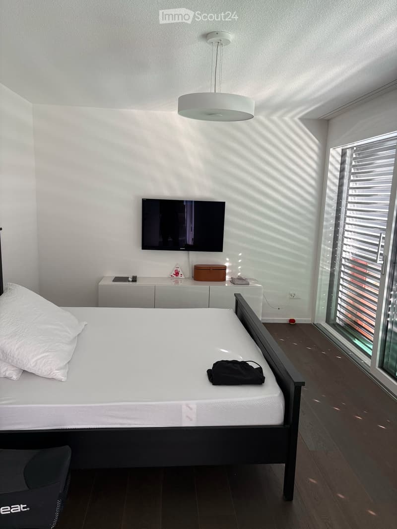 Moderne und grosszügige 5.5-Zimmer-Wohnung mit schöner Terrasse (7)