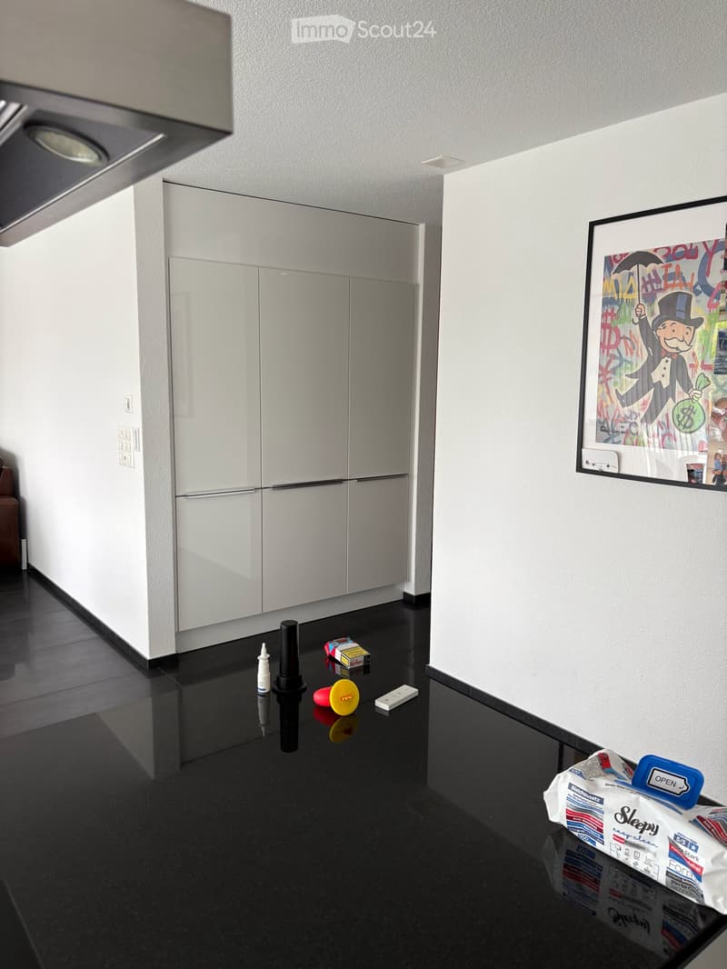 Moderne und grosszügige 5.5-Zimmer-Wohnung mit schöner Terrasse (8)