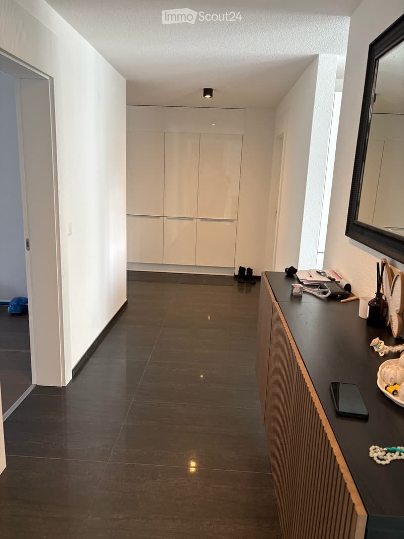 Moderne und grosszügige 5.5-Zimmer-Wohnung mit schöner Terrasse (3)