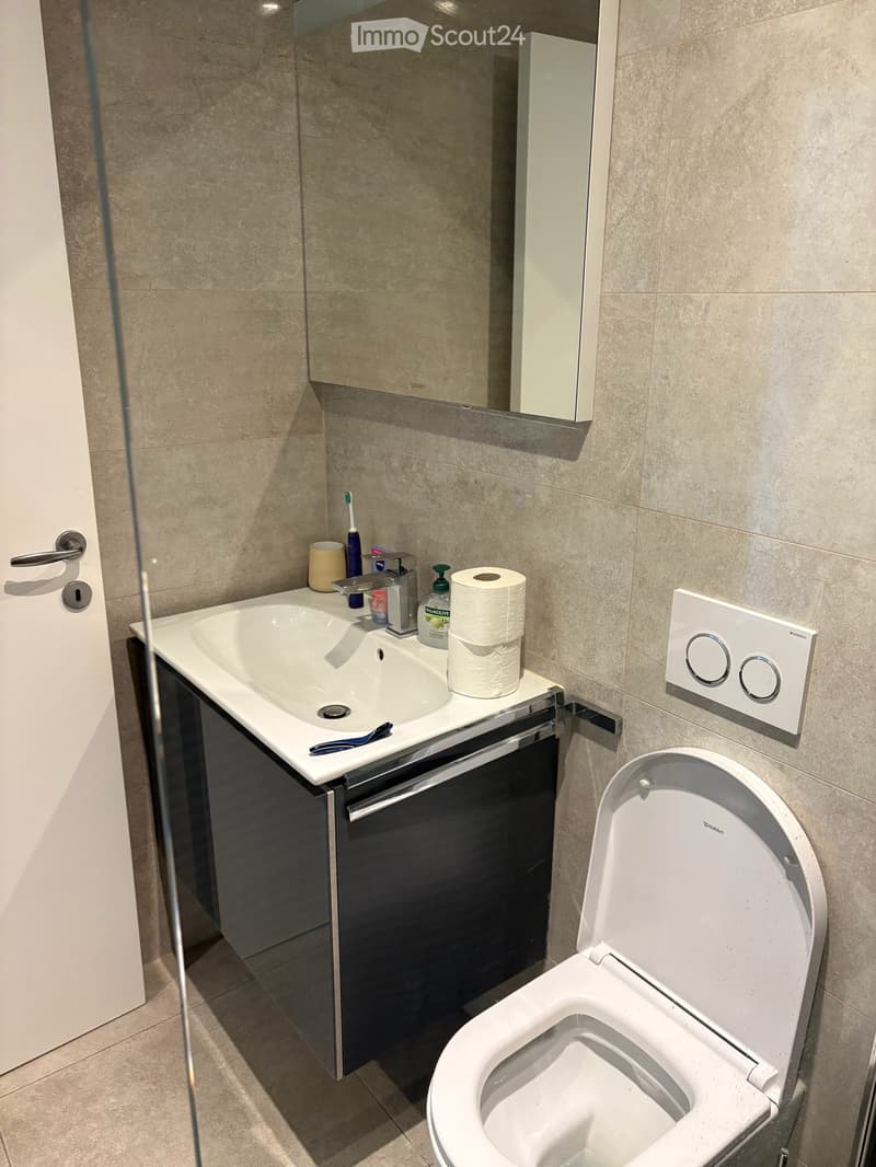 Moderne und grosszügige 5.5-Zimmer-Wohnung mit schöner Terrasse (15)