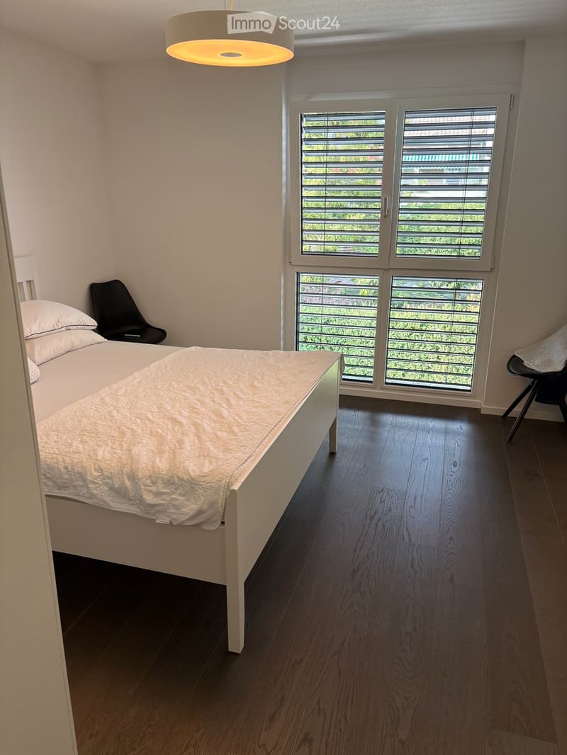 Moderne und grosszügige 5.5-Zimmer-Wohnung mit schöner Terrasse (5)