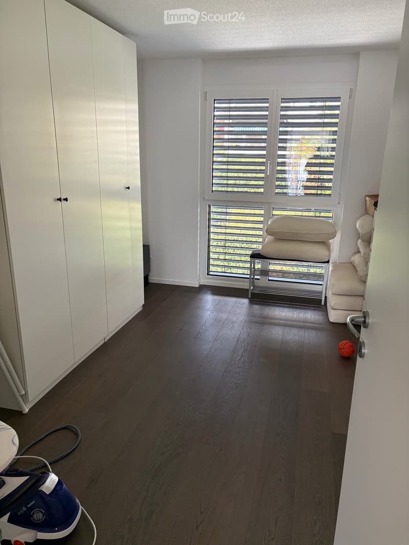 Moderne und grosszügige 5.5-Zimmer-Wohnung mit schöner Terrasse (4)