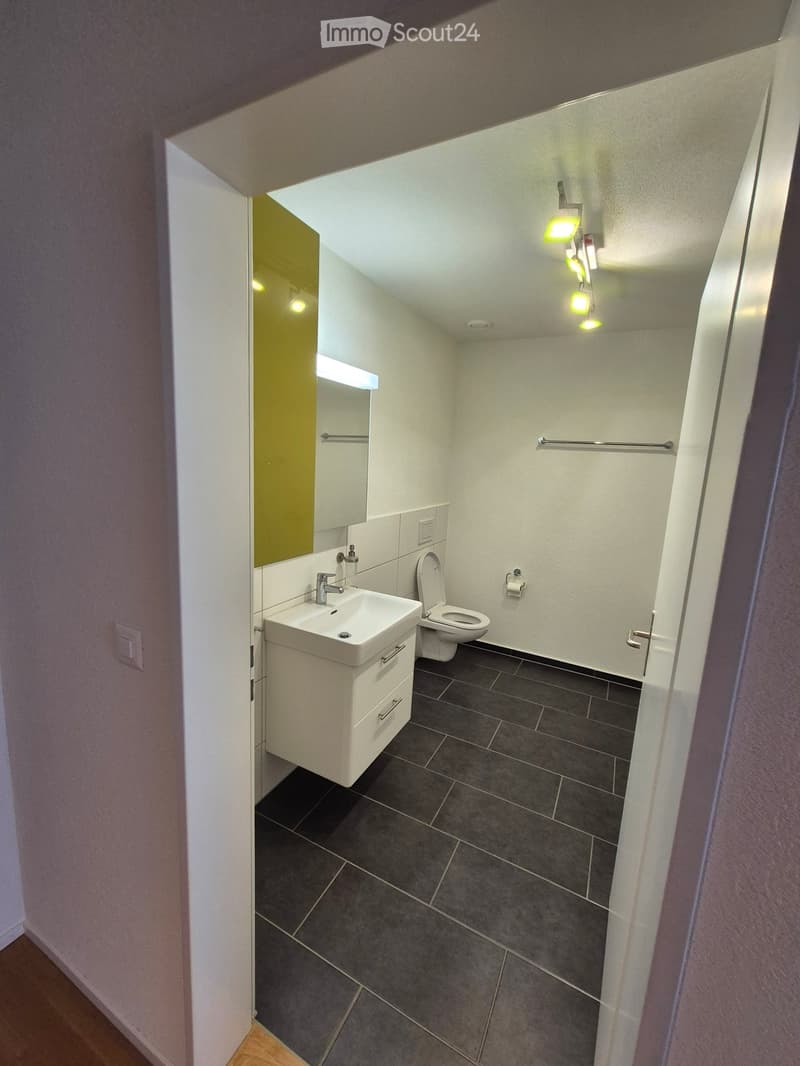 Modern bathroom with white walls, dark tiled floor, a white sink with a cabinet, a toilet, a mirror, and a light fixture above the mirror.