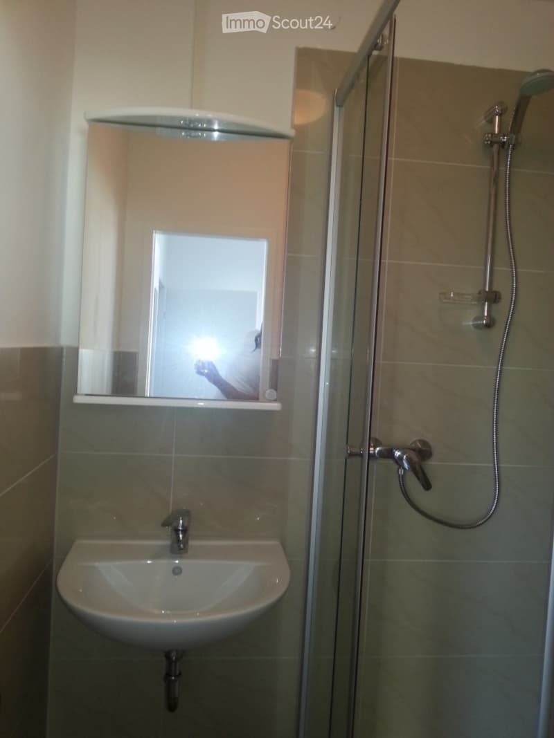 Modern bathroom with a white sink, a large mirror cabinet, and a glass-enclosed shower with a handheld showerhead.