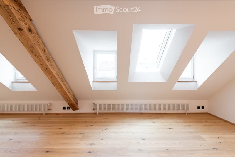 Empty attic room with wooden floors, exposed wooden beams, and multiple skylights, featuring radiators along the walls.