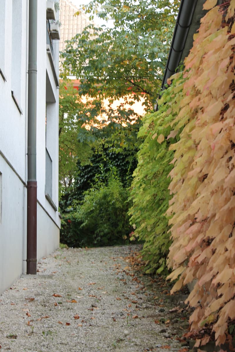 Gravel pathway next to a building with autumn foliage and trees in the background.