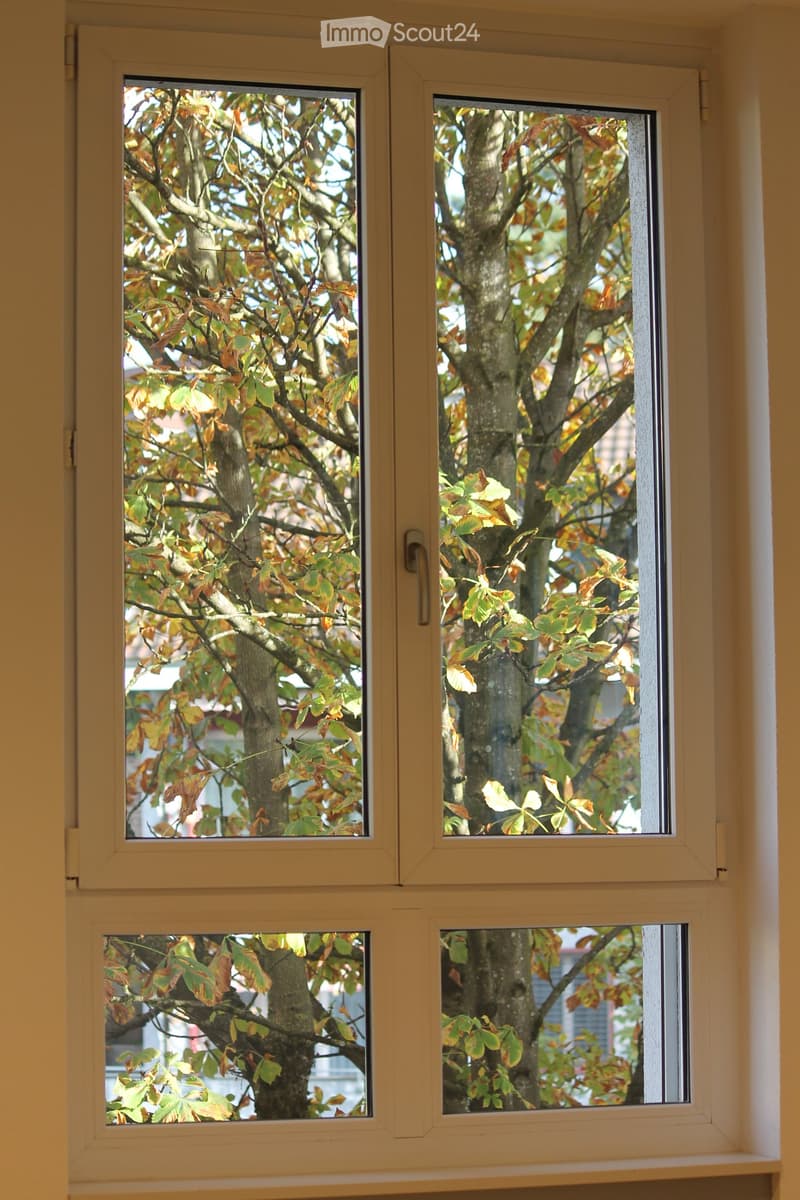 Four windows with white frames showing a tree with autumn leaves outside, set in a plain wall with a shelf below.