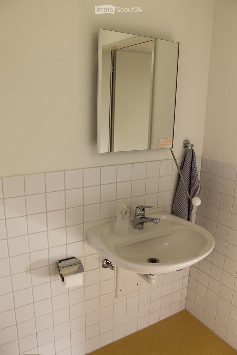 A small bathroom with a white sink, chrome faucet, mirror above, towel hanging on a rack, and toilet paper holder on the wall.