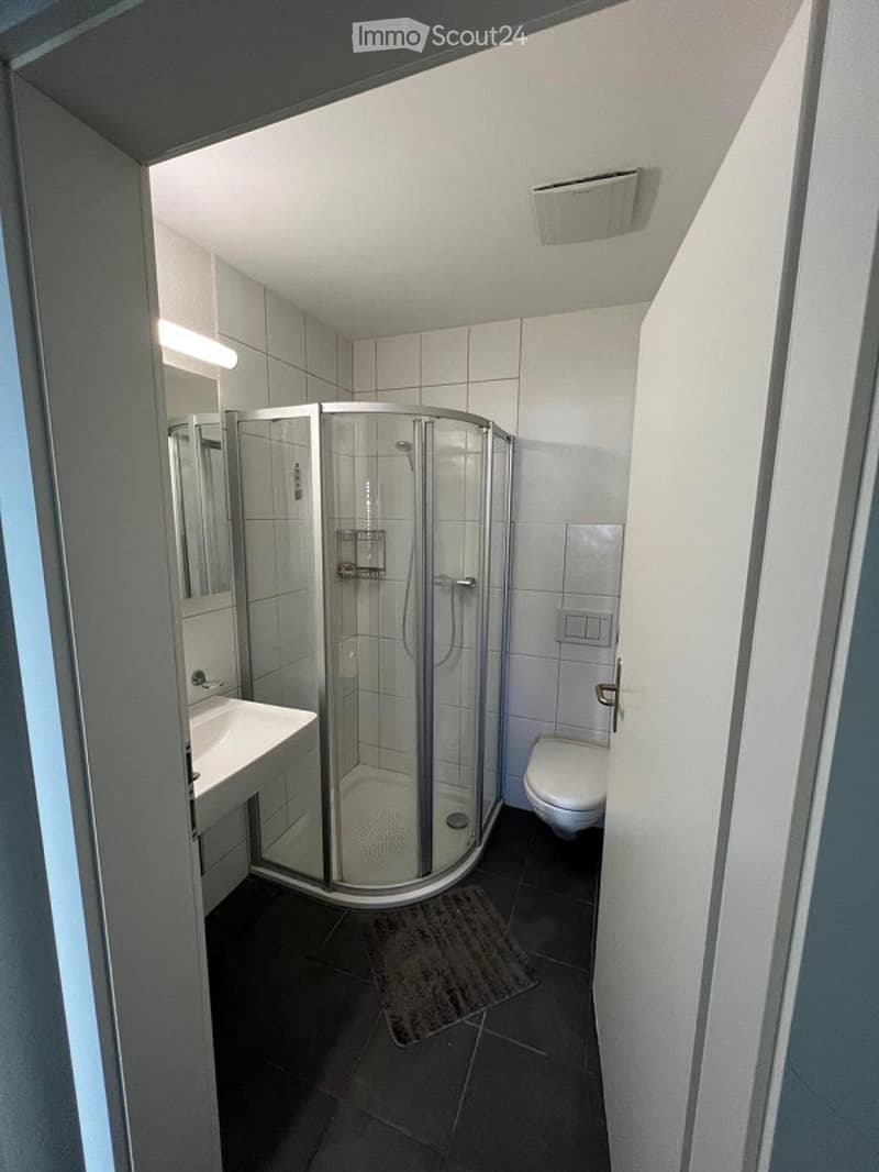 Modern bathroom with a glass-enclosed shower, white tiles, a sink with a mirror, and a toilet. The floor is dark tiled, and a small rug is placed in front of the shower.
