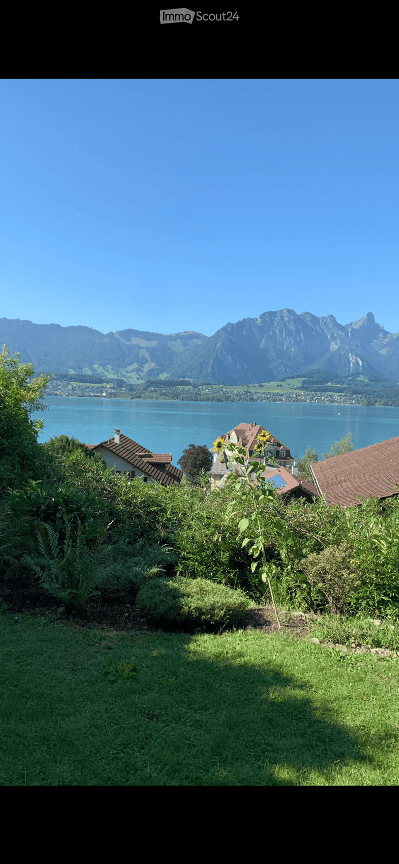 Garden with lush green lawn, shrubs, sunflower plant, houses in background and lake view.