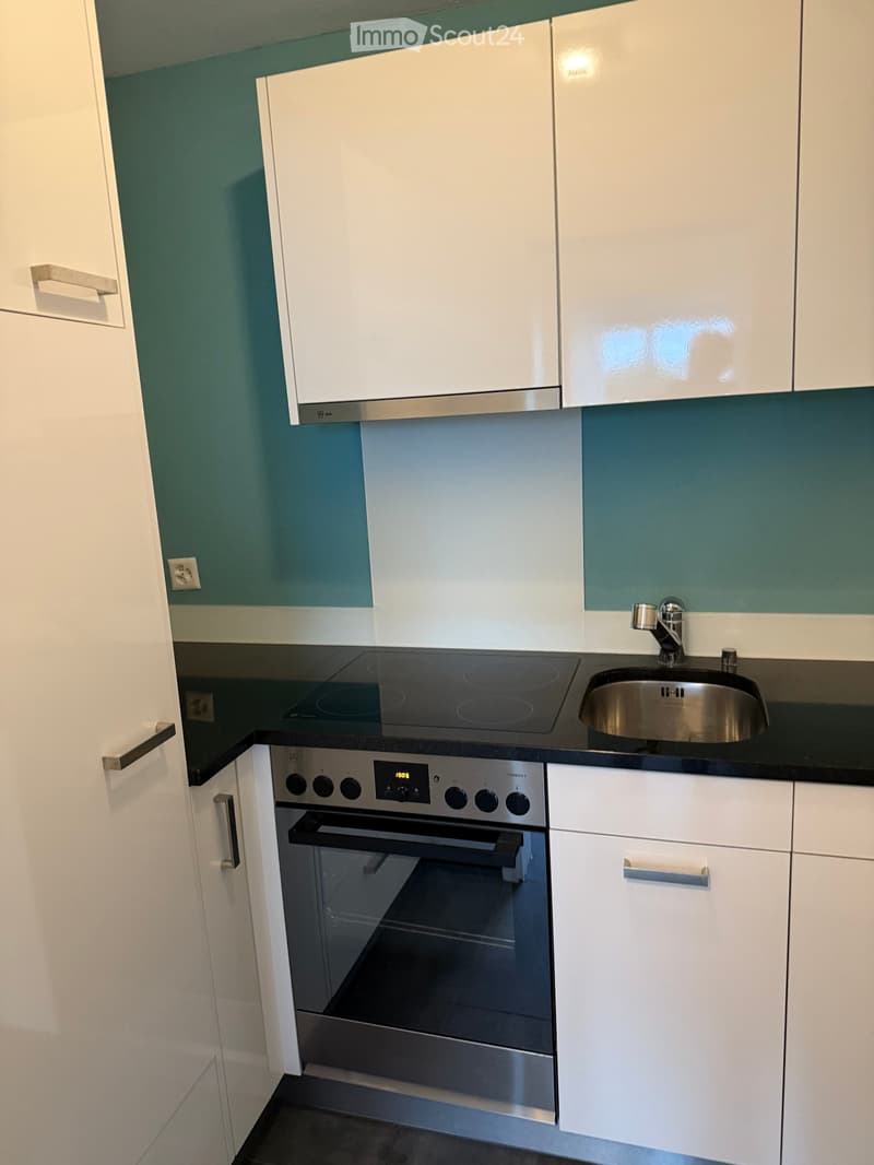 modern kitchen, black countertops, white cabinets, built-in dishwasher, washing machine