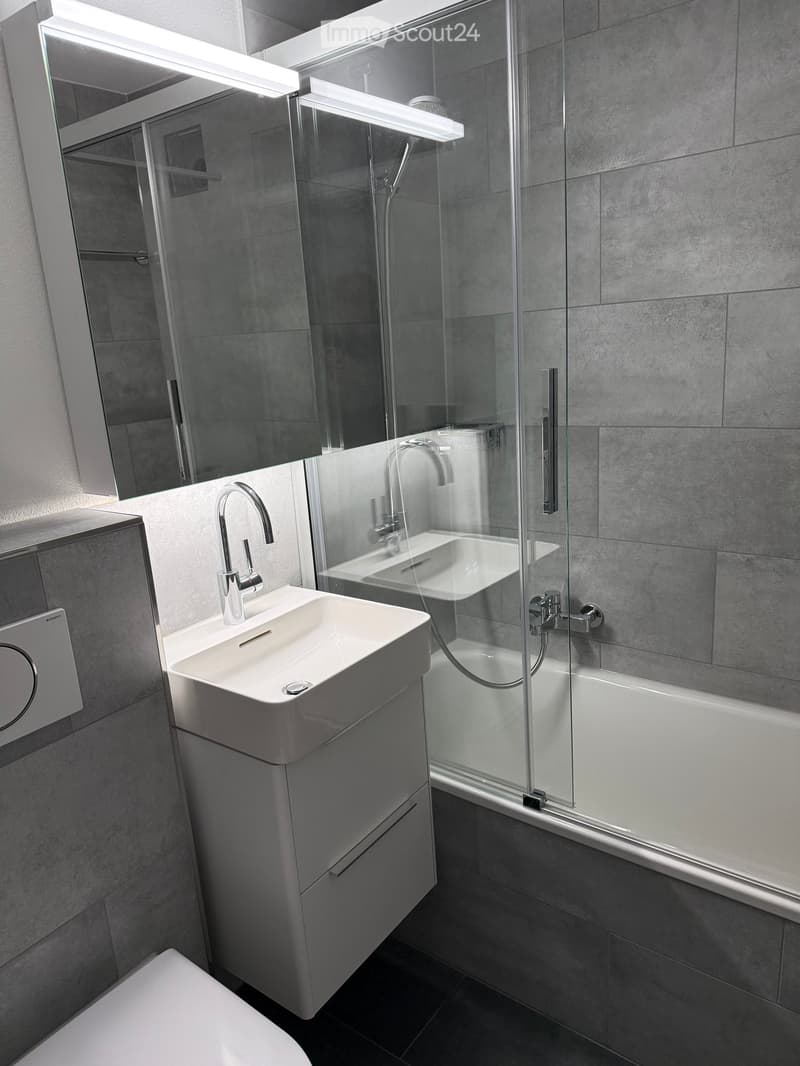 Modern bathroom with a white sink, large mirror, bathtub, shower enclosure, and a toilet.