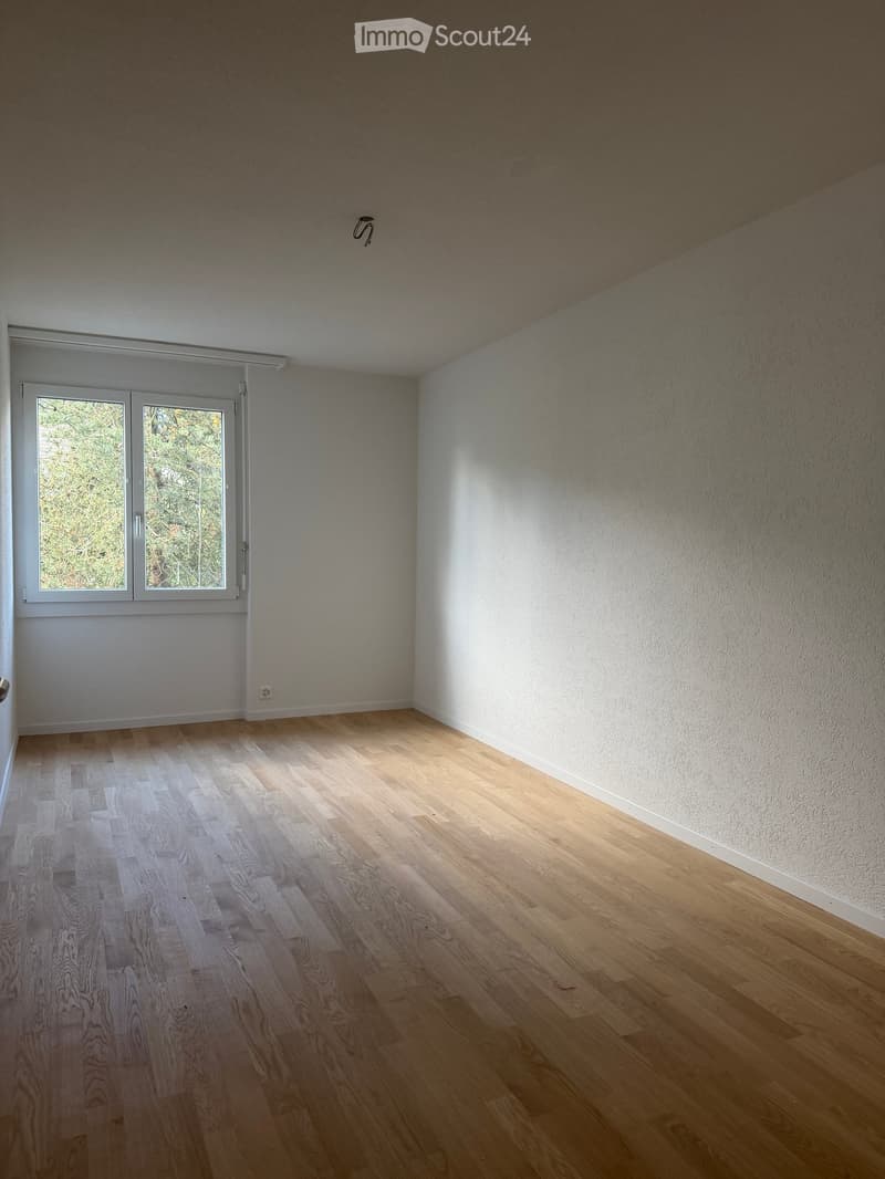 Empty room with light wooden flooring, white walls, and a large window with a view of greenery.