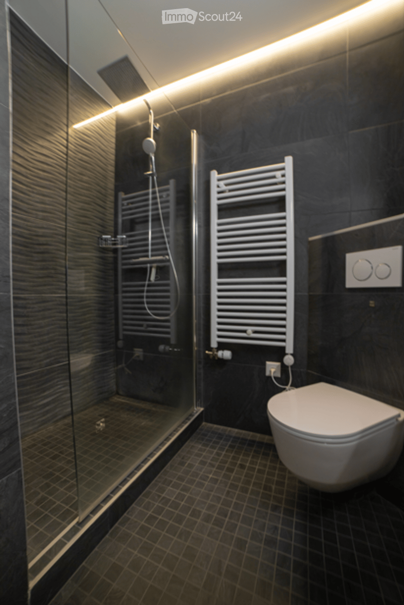 Modern bathroom with dark tiled walls and floor, glass-enclosed shower, toilet, and a white radiator.