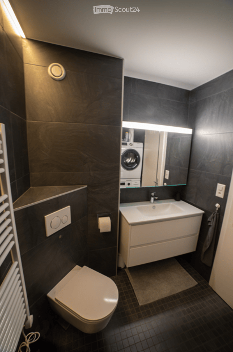 Modern bathroom with dark tiles, a toilet, a sink with a mirror, and a washing machine in the background.