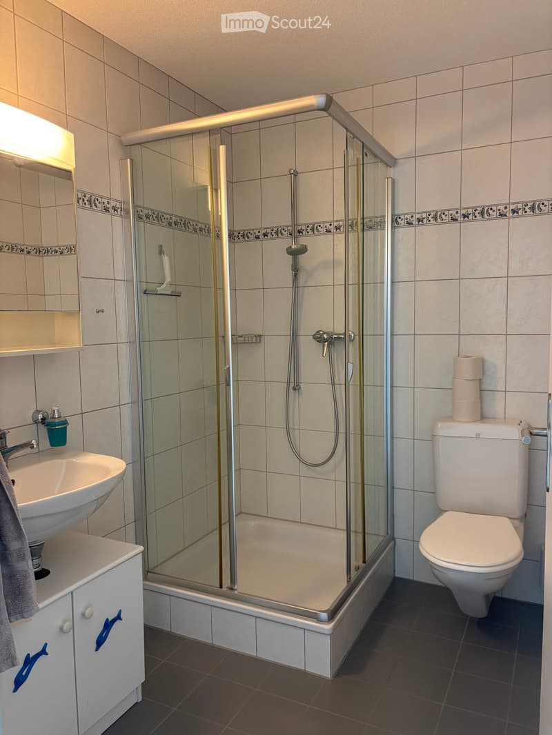 Modern bathroom with white tiles, a glass-enclosed shower, a sink with a mirror, and a toilet. Includes a towel and toilet paper on the counter.