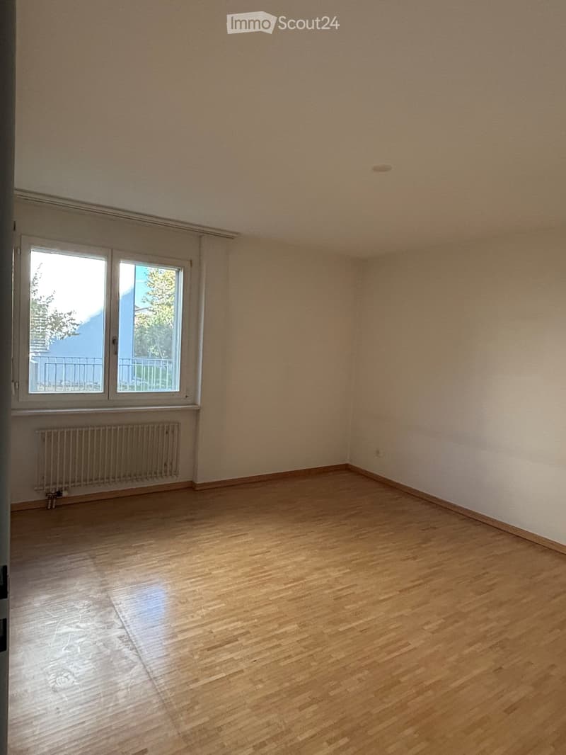 Empty room with wooden flooring, light-colored walls, and a radiator under a large window with a view of greenery outside.