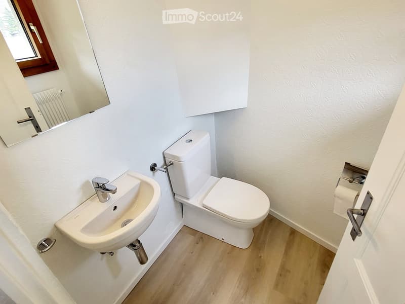 Modern bathroom with white walls, wooden flooring, a white sink with chrome faucet, a toilet, a mirror, and a toilet paper holder.