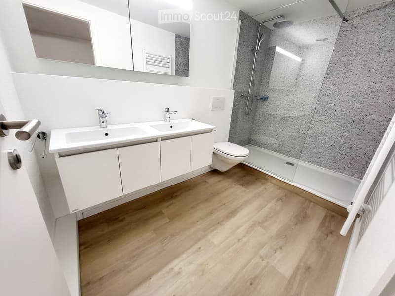 Modern bathroom with double sink, toilet, large mirror, and walk-in shower with glass enclosure.