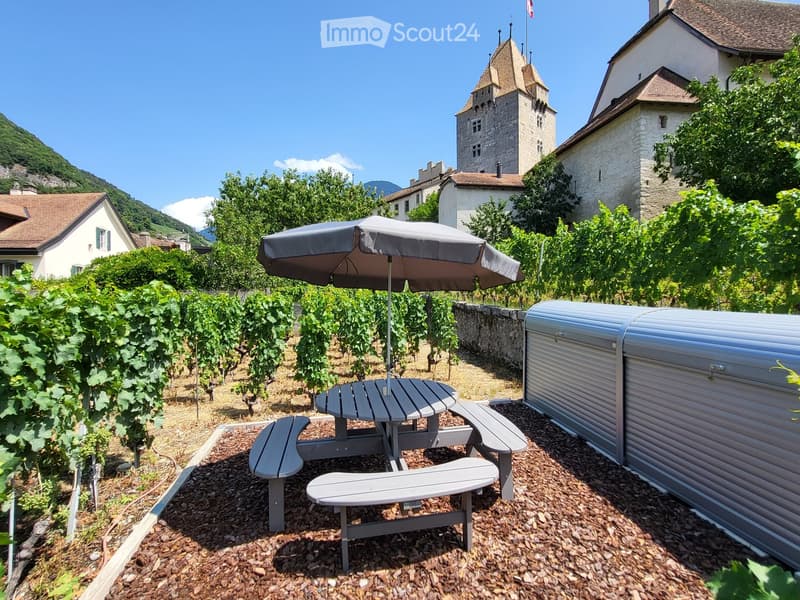 Outdoor seating area with a table, benches, and an umbrella, surrounded by vineyards and a stone wall, with a historic castle in the background.