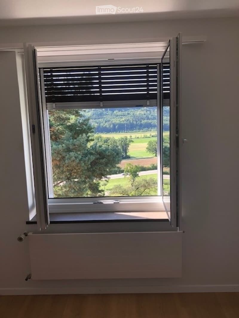 Empty room with large window offering a scenic view of a green landscape and trees. The window has blinds and a radiator below it.