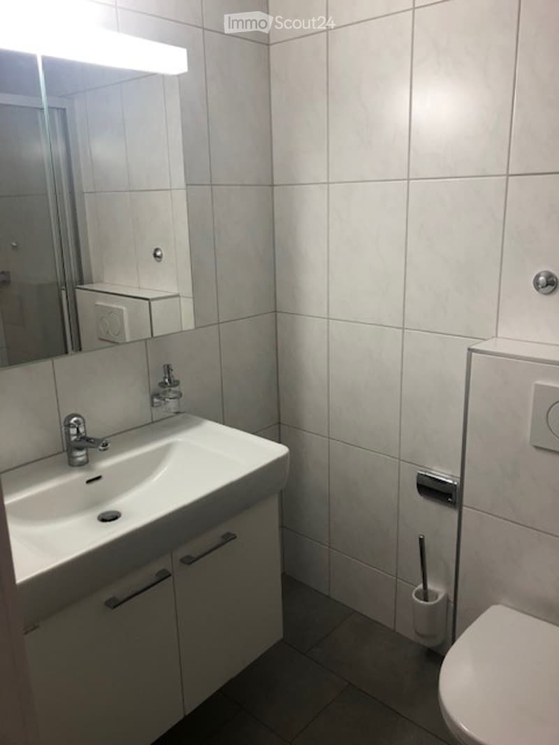 Modern bathroom with white tiles, a sink with a mirror above it, and a toilet. The walls are tiled in light gray, and the floor is dark gray.