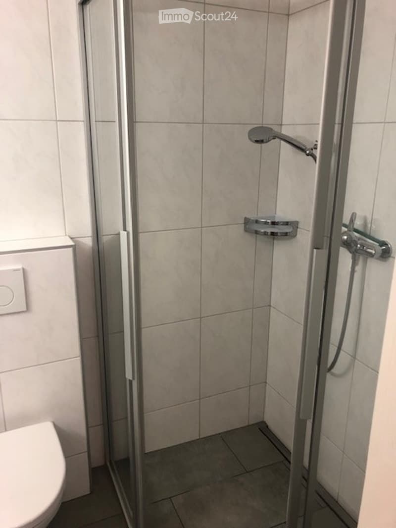 Modern bathroom with a glass-enclosed shower stall, a toilet, and a sleek showerhead with a handheld sprayer.