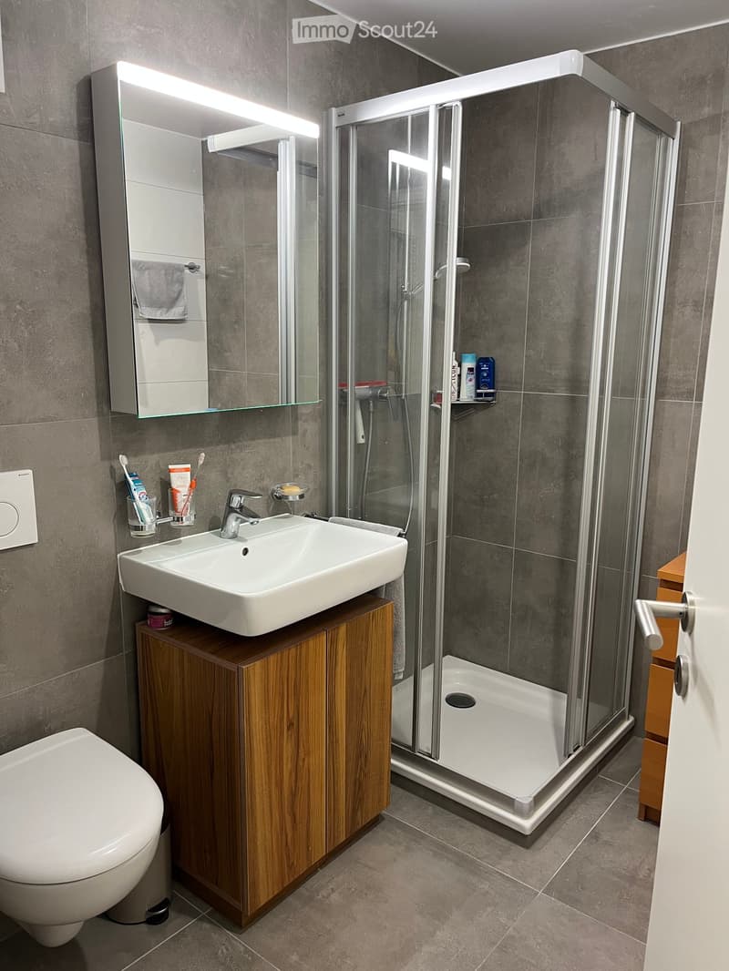 Modern bathroom with a white sink on a wooden cabinet, a toilet, a glass-enclosed shower, and a mirrored cabinet with a built-in light. Toothbrushes and toiletries are visible on the sink counter.