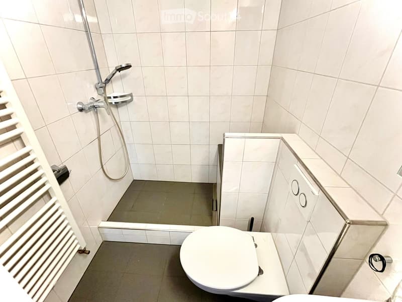Modern bathroom with a toilet, shower, and radiator. The shower area has a glass enclosure, and the walls are tiled in light beige.
